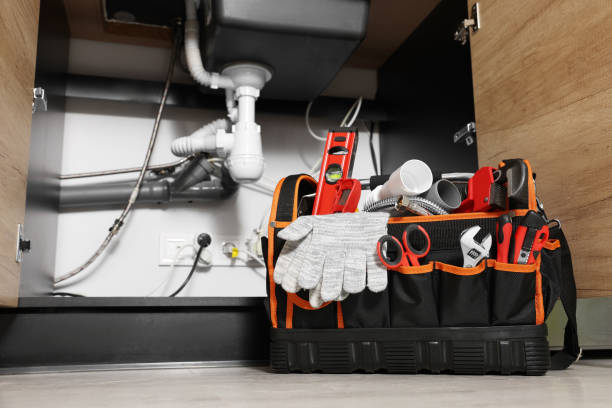 Best Plumbing Services Near Me  in San Carlos Park, FL