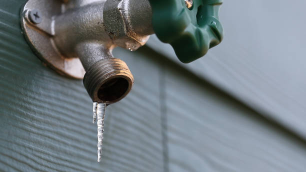 Best Emergency Plumber  in San Carlos Park, FL
